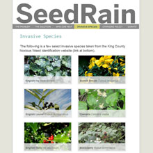 Seed Rain